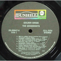 THE GRASSROOTS - Golden Grass