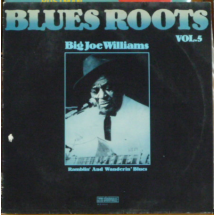 BIG JOE WILLIAMS - Blues Roots Vol.5