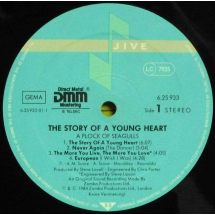 A FLOCK OF SEAGULLS - The story of a young heart