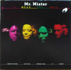 Mr.MISTER - Wear the face