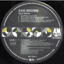 SAM BROWN - April Moon