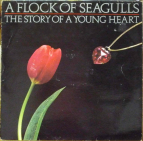 A FLOCK OF SEAGULLS - The story of a young heart