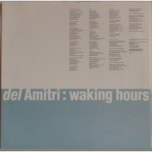 DEL AMITRI - Waking hours