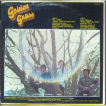 THE GRASSROOTS - Golden Grass