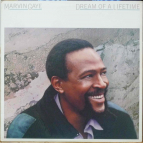 MARVIN GAYE - Dream of a lifetime