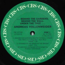 ANDREAS VOLLENWEIDER - Behind The Gardens - Behind The Wall - Under The Tree