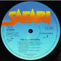 TOYAH - The Blue Meaning