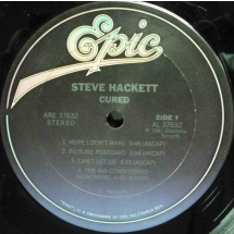 STEVE HACKETT -  Cured