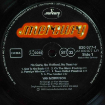 VAN MORRISON - No Guru, no Method, no Teacher