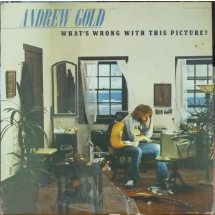 ANDREW GOLD - What's wrong with this picture