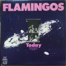 FLAMINGOS - Today