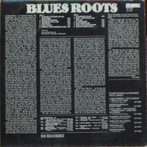 BIG JOE WILLIAMS - Blues Roots Vol.5