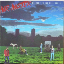 MR.MISTER - Welcome to the real world
