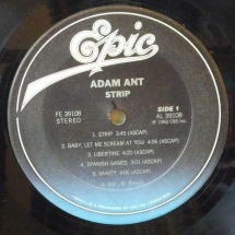 adam ant - strip