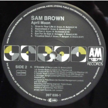 SAM BROWN - April Moon